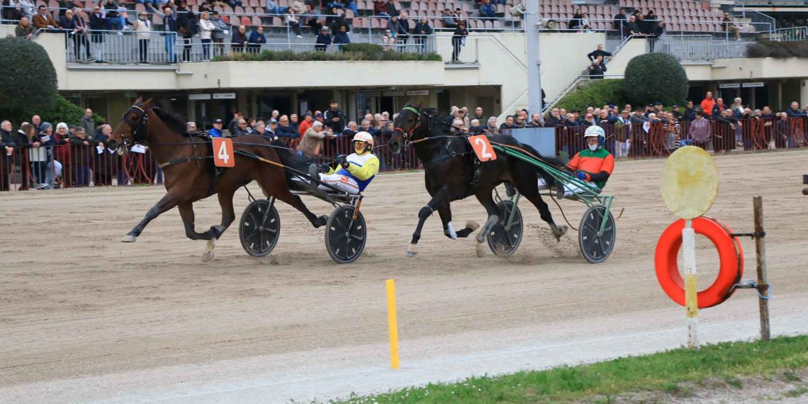 A Bologna Ideal Turdance e Irma Ferm grandi protagonisti nel Gp Italia