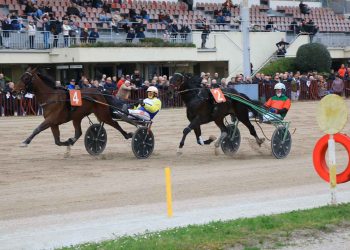 A Bologna Ideal Turdance e Irma Ferm grandi protagonisti nel Gp Italia