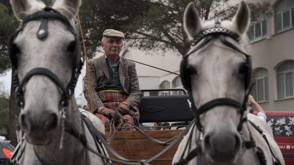 246954918 4686656868039248 2861492726905217550 n 1024x576