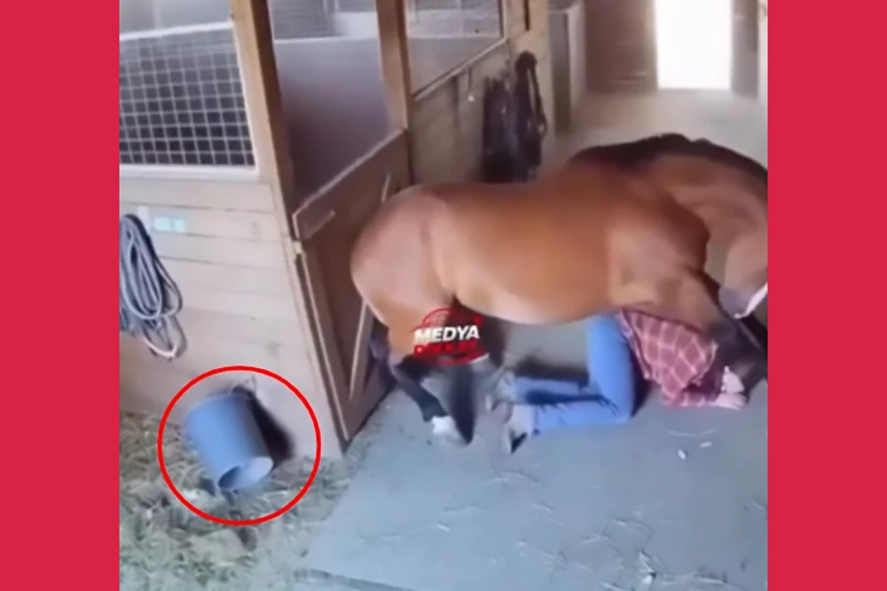 45d7bb25d50e10bcb4da26b9f91a316a