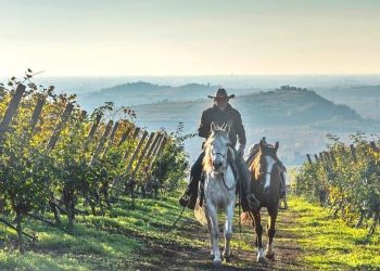 Tra vigneti, vulcani e cavalli in Val d’Alpone