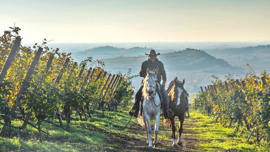 488807717 9637600662965398 9117243974171776411 n 1