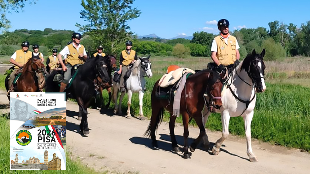 492935341 985892596963061 2347345694474639606 n