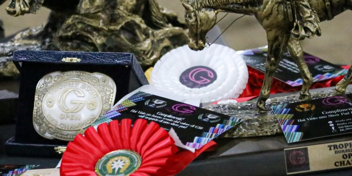 Performance Veneto: cos’è e come funziona il circuito targato Fitetrec-ANTE