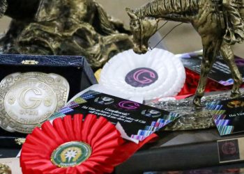 Performance Veneto: cos’è e come funziona il circuito targato Fitetrec-ANTE