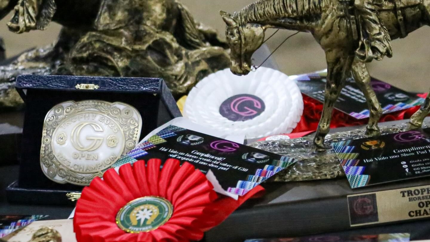 547995144 17914796580187143 8281609021248529328 n 2