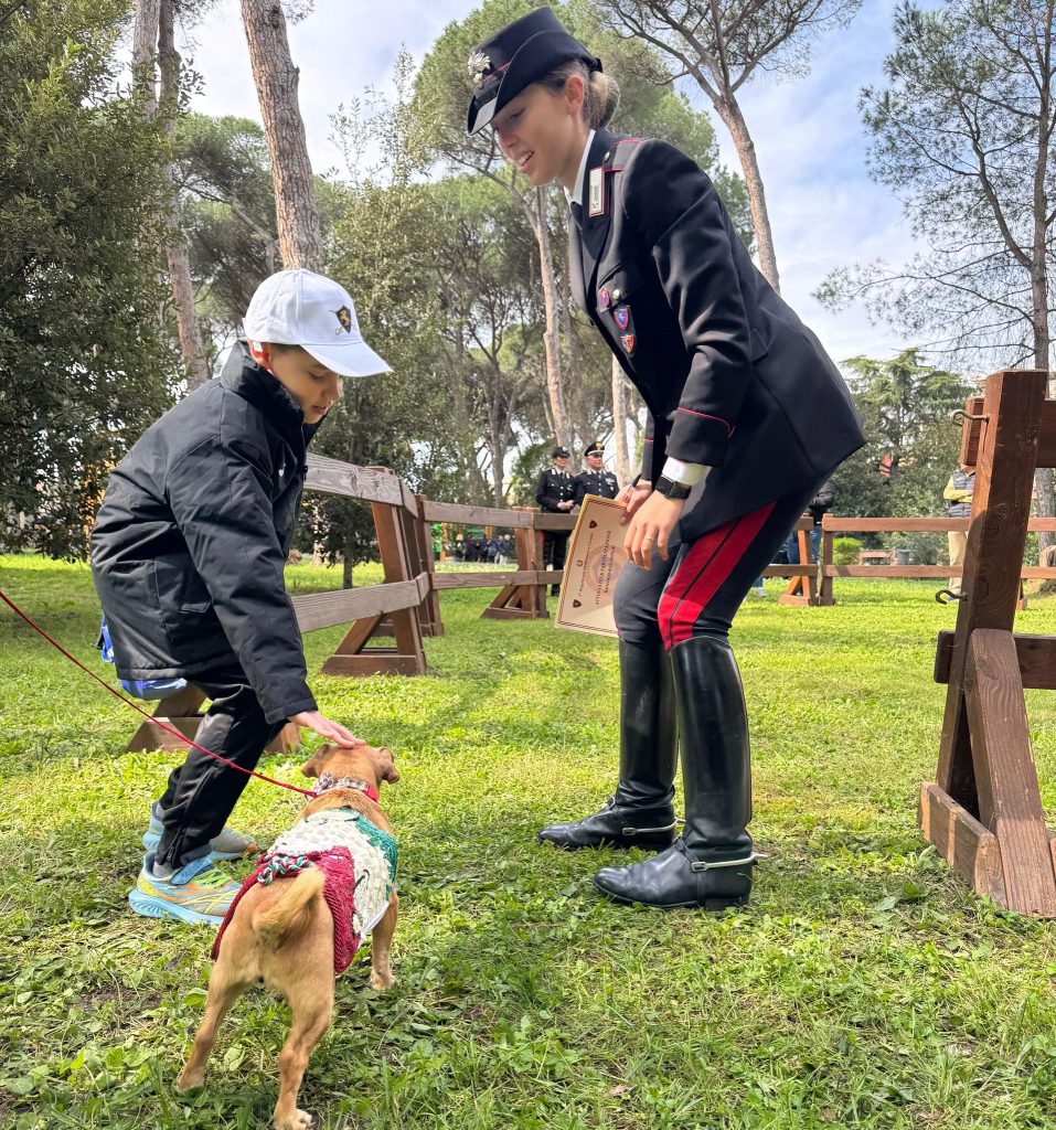 662366062 1403082735194604 6016873227475182203 n 957x1024