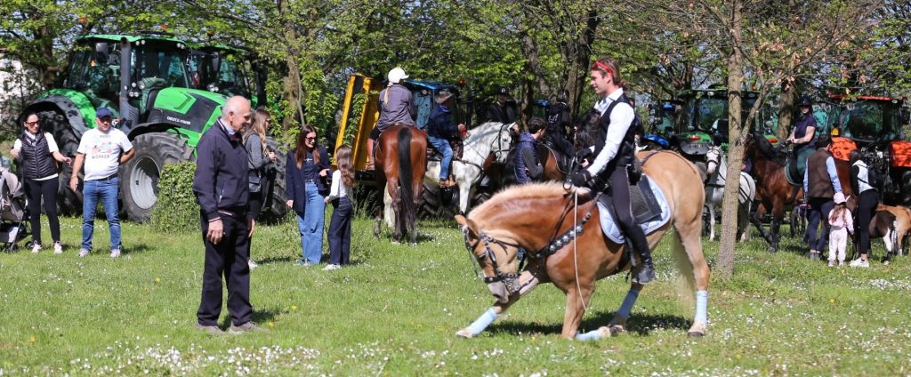 678258011 3985425988254795 6962185335317770590 n 1024x424