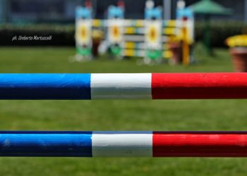 Bandiera svedese su Gorla