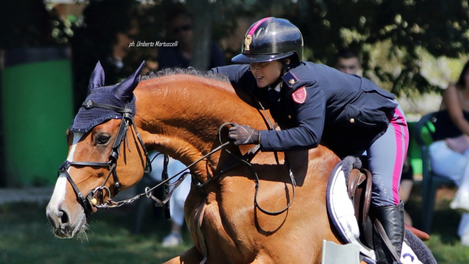 CSI Cervia Francesca Ciriesi su Cash Royal OK