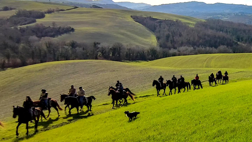 Immagine WhatsApp 2024 02 21 ore 15.57.25 e8c5b696