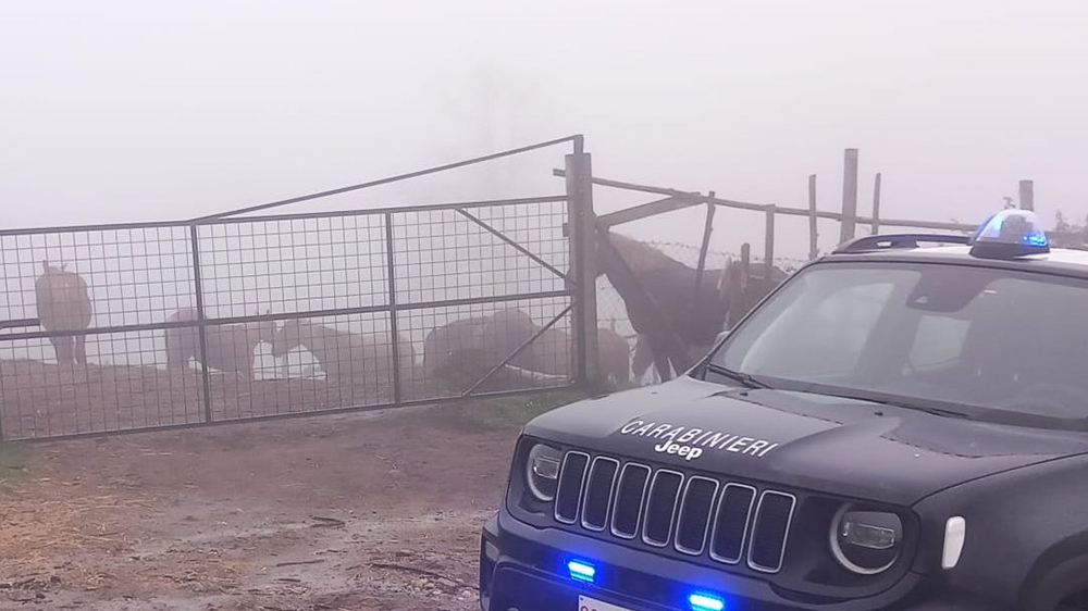 PHOTO 2026 04 15 08 08 15 e1776329555581