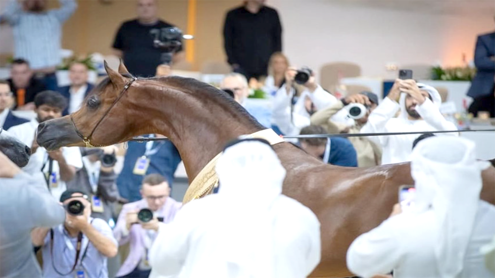 Schermata 2026 04 02 alle 11.42.52