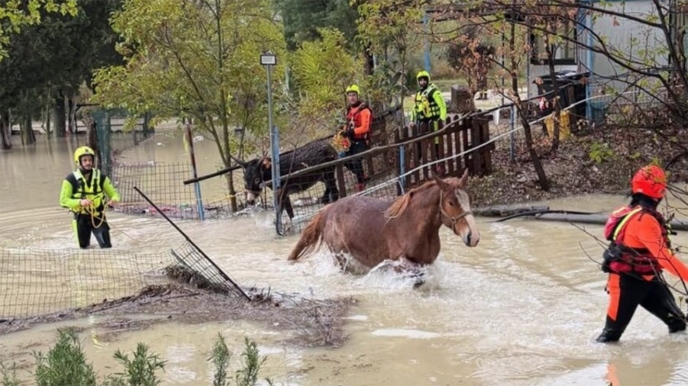 Schermata 2026 04 05 alle 16.51.52