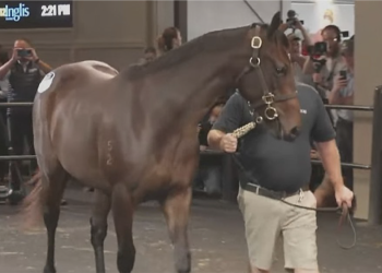 Quinceanera: ritirata prima di iniziare