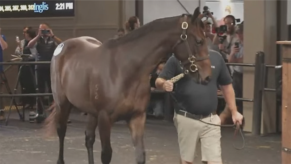 Schermata 2026 04 08 alle 16.17.09