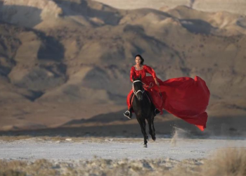 Cina: il cavallo ci rende amici…