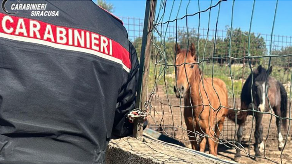 Schermata 2026 04 10 alle 16.06.53