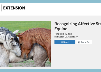 Il diploma equestre dell’Oklahoma State University