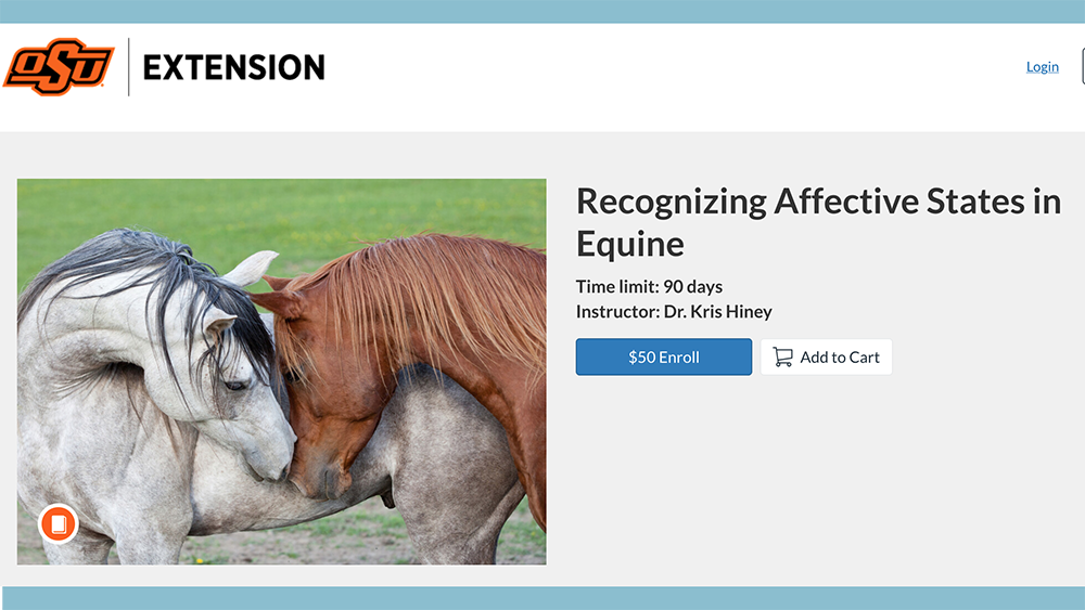 Schermata 2026 04 10 alle 16.58.55