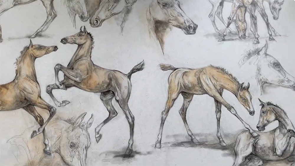 Schermata 2026 04 10 alle 17.50.04