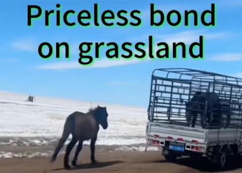 Ci sono ancora cose che non hanno prezzo