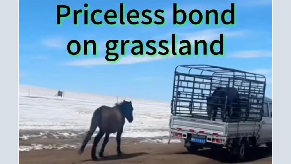 Schermata 2026 04 13 alle 11.50.10