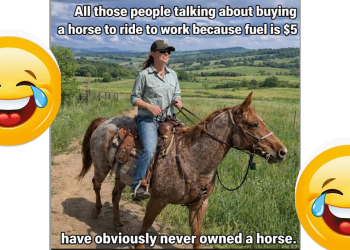 Cavalli contro l’aumento del carburante? Fate bene i conti…