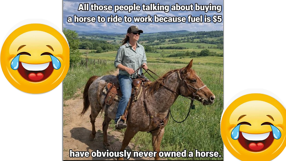 Schermata 2026 04 14 alle 17.56.12