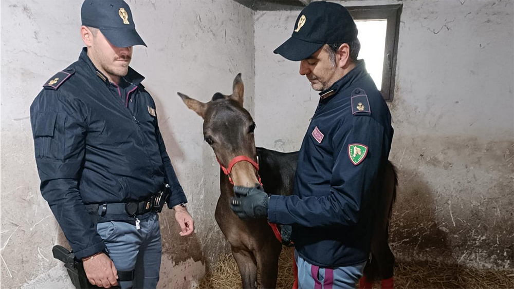 Schermata 2026 04 23 alle 17.30.17