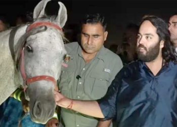 Anant Ambani: il magnate dei cavalli