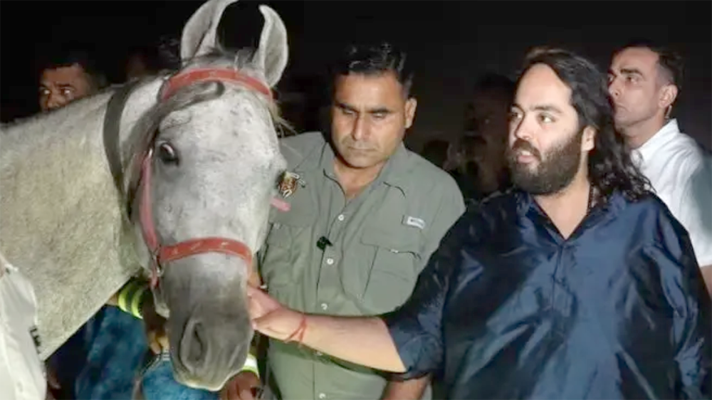 Schermata 2026 04 26 alle 17.52.39