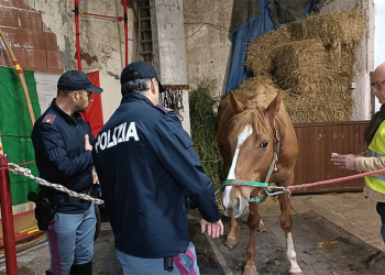 I ‘clandestini’ a San Cristoforo finiscono nella App