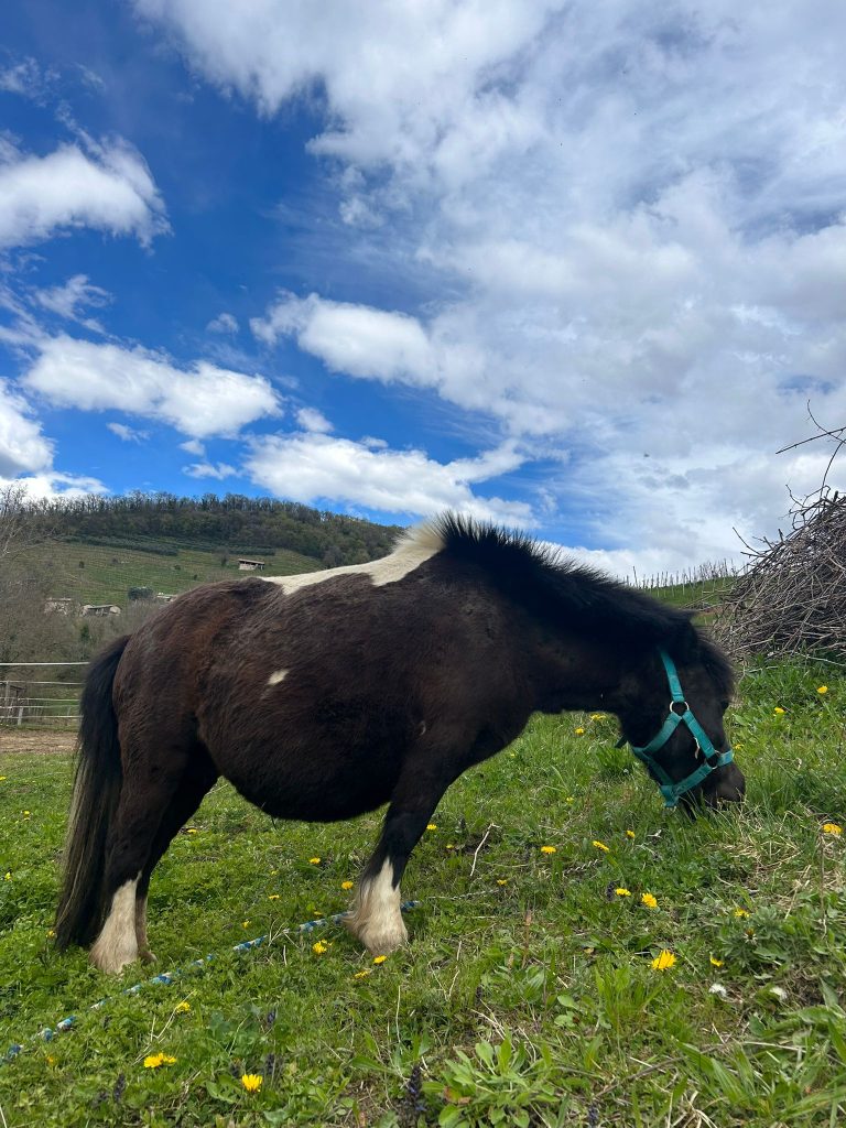 WhatsApp Image 2026 04 01 at 11.48.48 768x1024