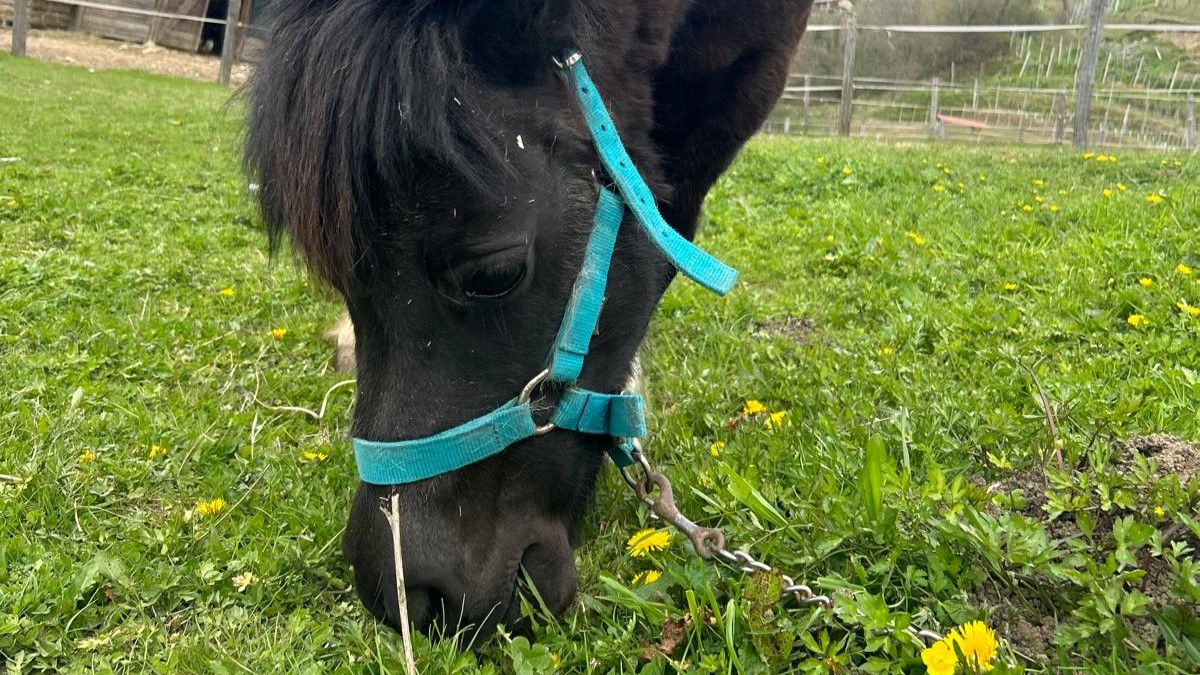 WhatsApp Image 2026 04 05 at 14.08.10