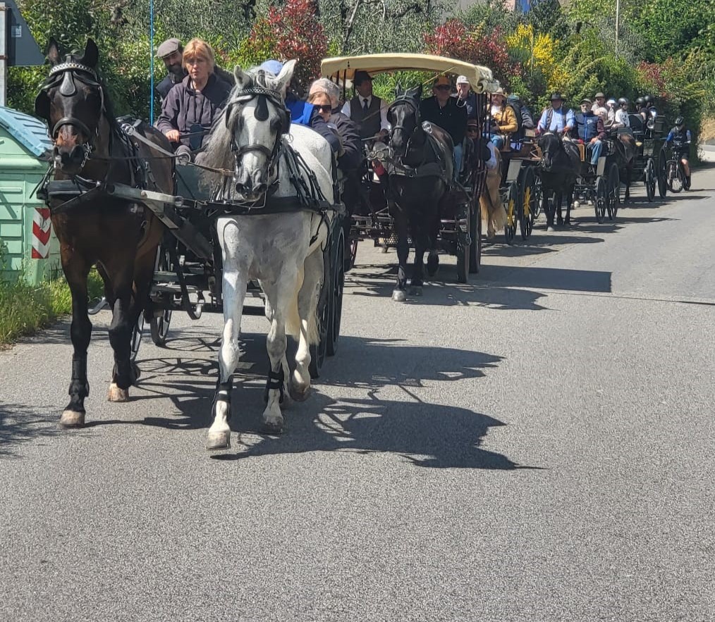 WhatsApp Image 2026 04 16 at 00.25.57 1