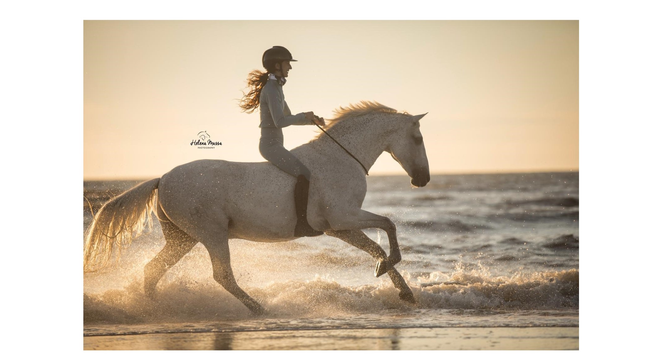 WhatsApp Image 2026 04 17 at 07.58.09 4