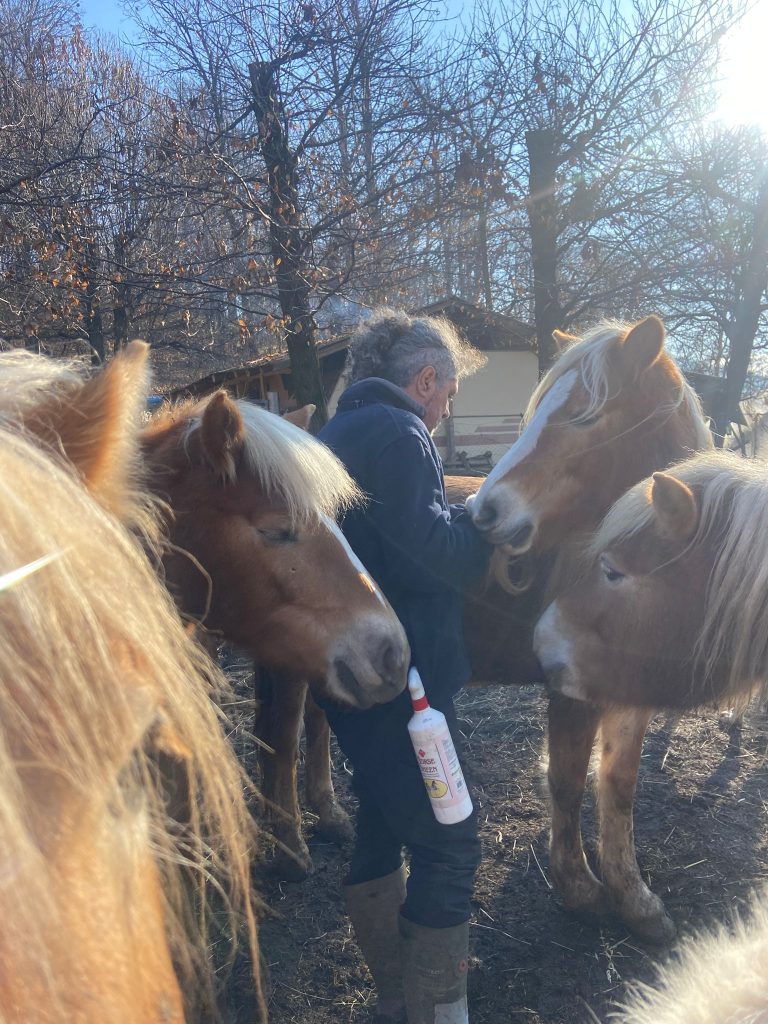 WhatsApp Image 2026 04 22 at 18.36.42 1 768x1024