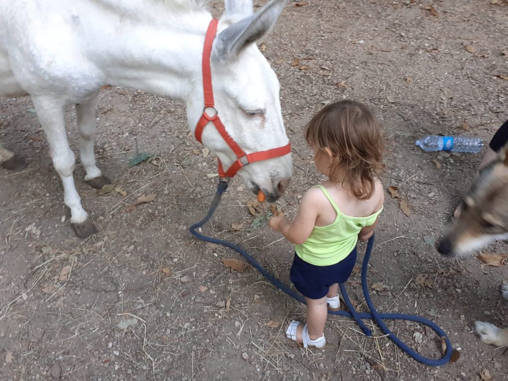 WhatsApp Image 2026 04 22 at 18.36.42 1024x768