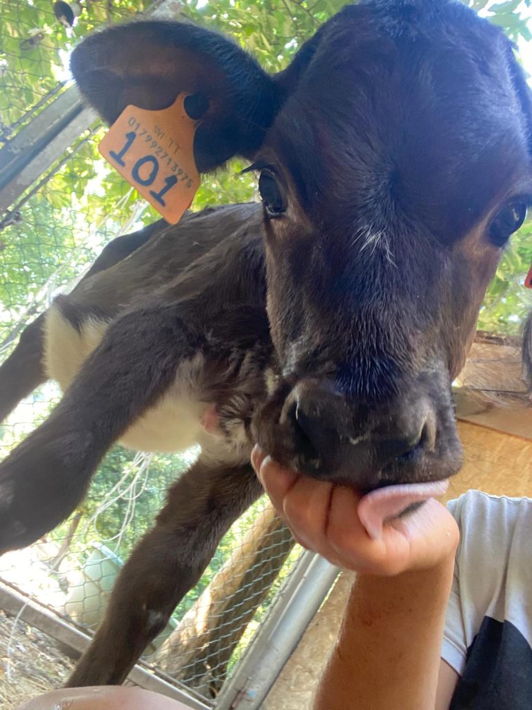 WhatsApp Image 2026 04 22 at 18.36.43 768x1024