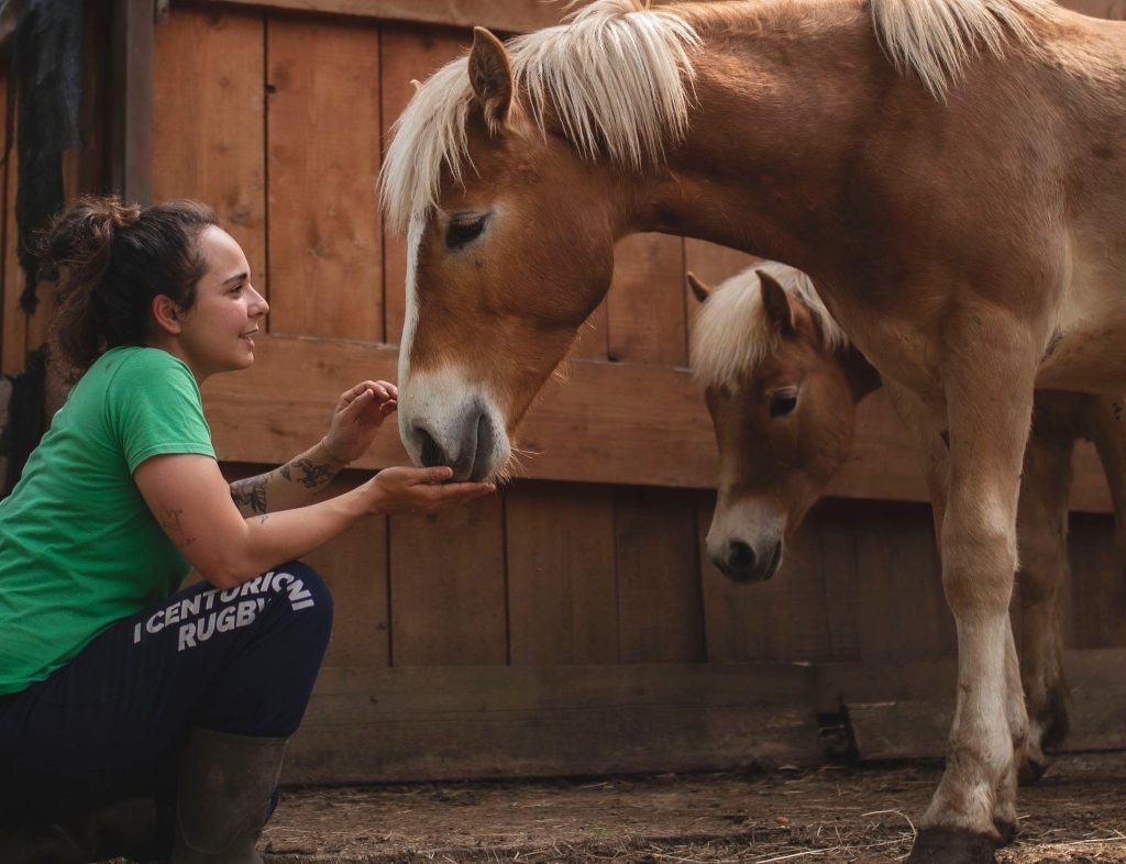 WhatsApp Image 2026 04 22 at 18.36.51 1024x786