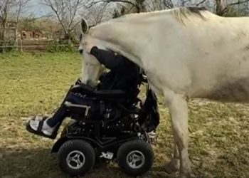 Erika, Camillo e quell’abbraccio che non ti aspettavi