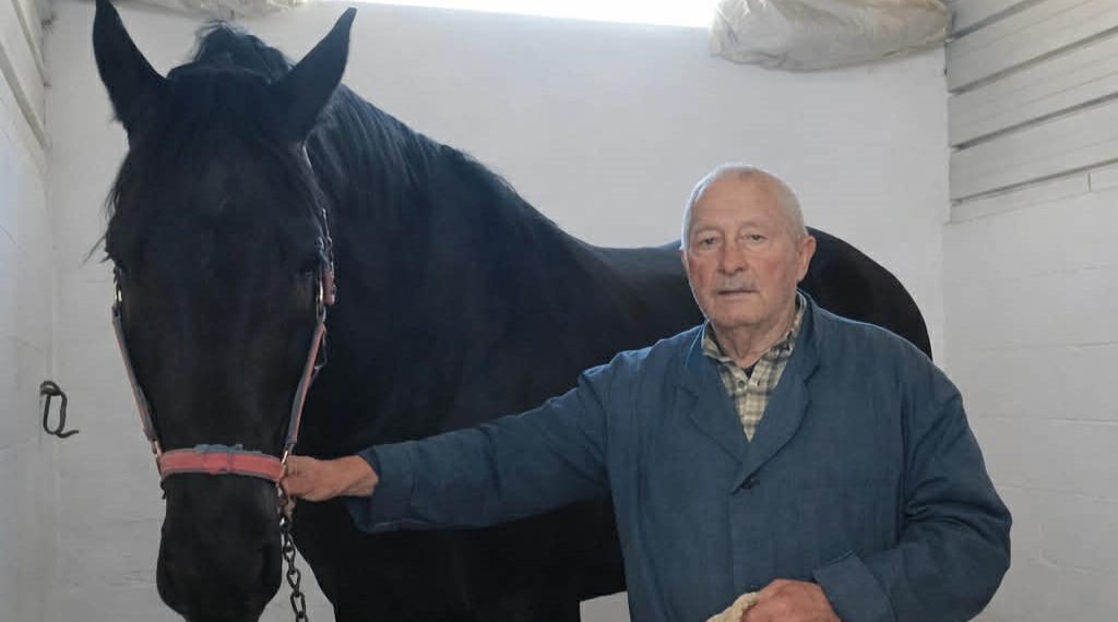 Terlizzi, intervista al proprietario del cavallo coinvolto nell’incidente