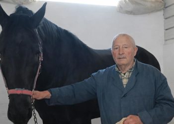 Terlizzi, intervista al proprietario del cavallo coinvolto nell’incidente
