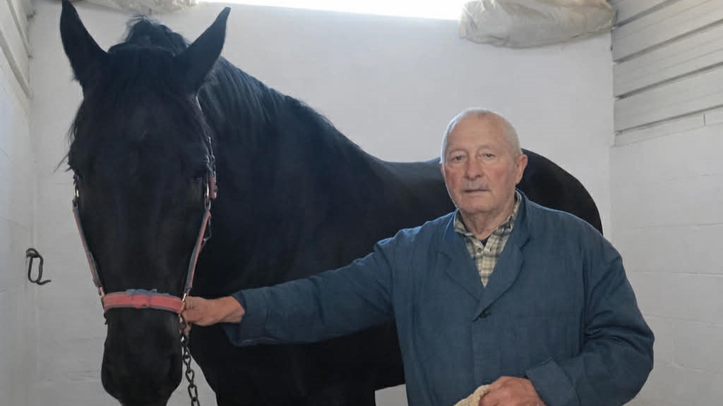 dad88024 981e 4aec 9784 a7c5cebb0e31