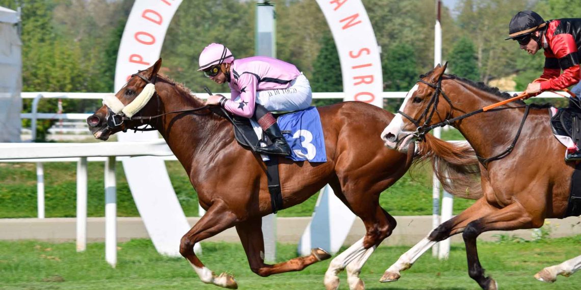 Grandi prove per i 3 anni: il Premio Parioli e il Regina Elena