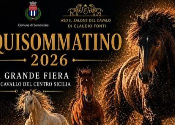 Equisommatino 2026: nel cuore della Sicilia torna la fiera del cavallo