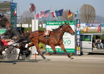 A Pasquetta il grande trotto è di scena a Torino