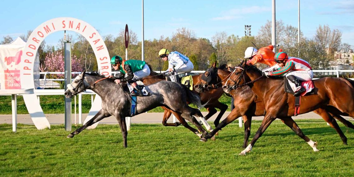 Bel sabato a San Siro-Galoppo col Premio Circo Massimo
