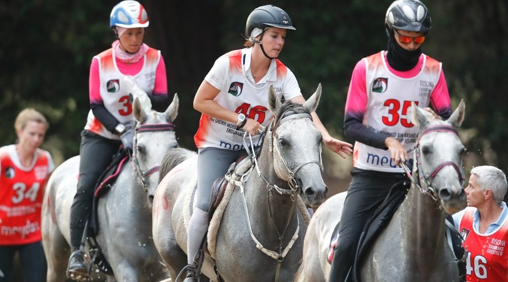 Endurance a Montalcino: i Campionati Italiani 2026 in Val d’Orcia